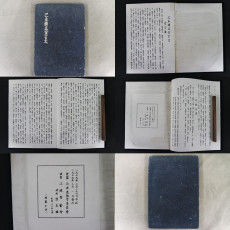 己未獨立宣言文(기미독립선언문)