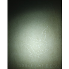 100환 다보탑 항공서간 제작 당시 사용 용지로 독수리 투문이 있음