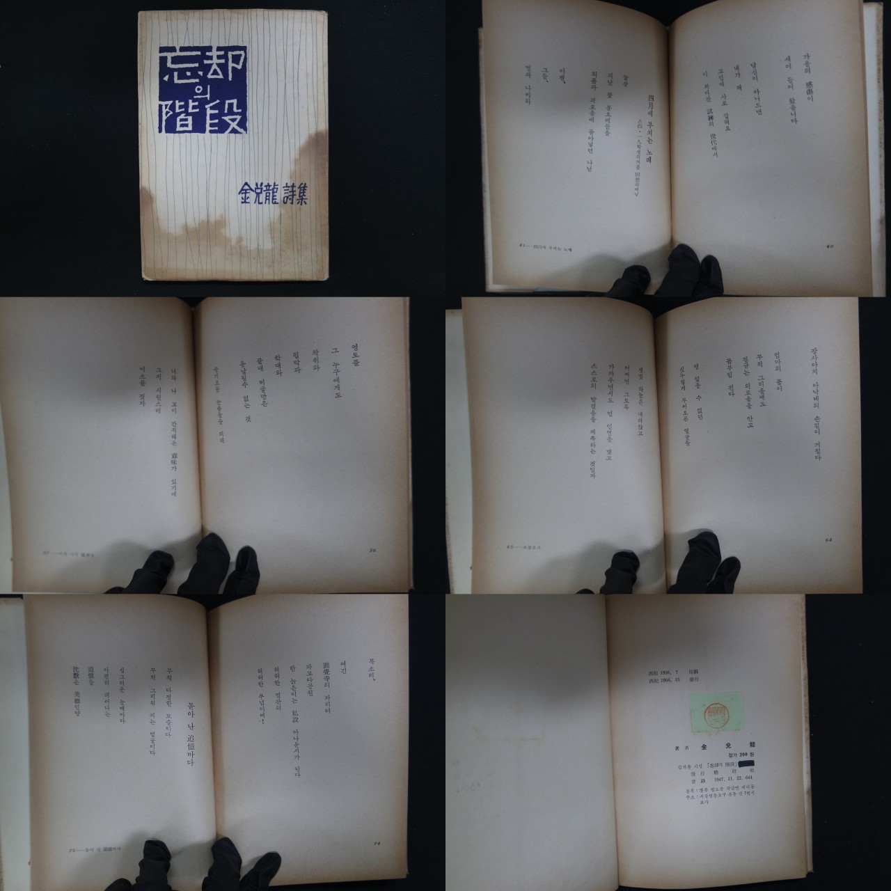 金兌龍(김태룡)의 忘却의 階段(망각의 계단)-경북 청도 출생